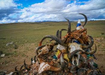 Similar image 12208423