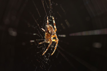 Similar image 12206299