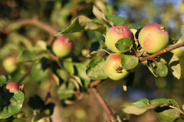 Similar image 12206517