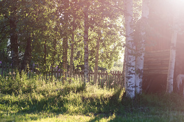 Similar image 12206220