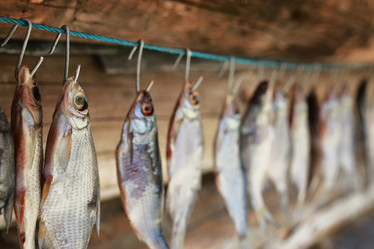 Similar image 12206048