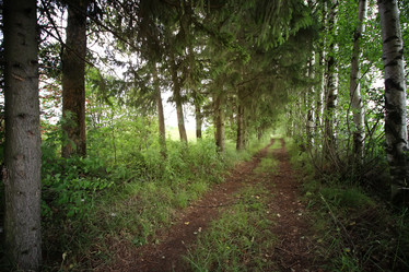 Similar image 12206221