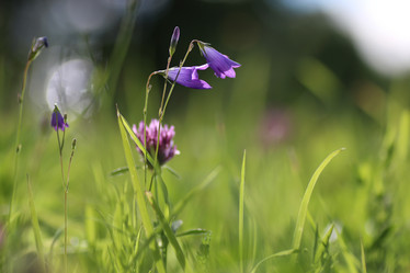 Similar image 12217924