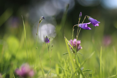 Similar image 12218017