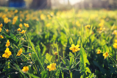 Similar image 12206641