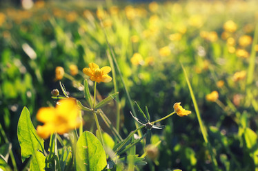 Similar image 12206677