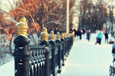 Similar image 12206736