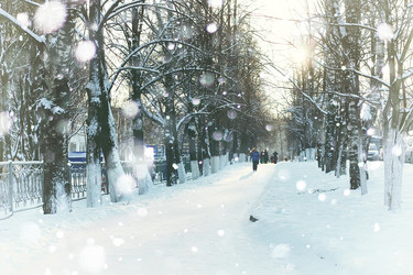 Similar image 12218083