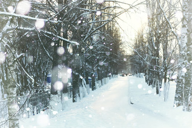 Similar image 12218167