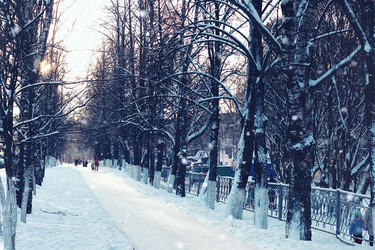 Similar image 12218195