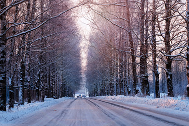 Similar image 12206987