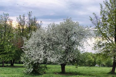 Similar image 12219138