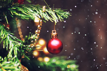 Similar image 12206481