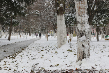 Similar image 12206343