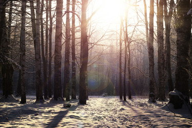 Similar image 12206308