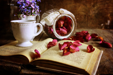 Similar image 12206186