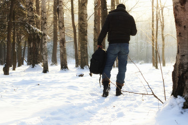 Similar image 12217882