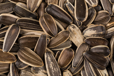 Similar image 12219443