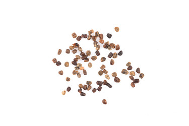 Similar image 12219496