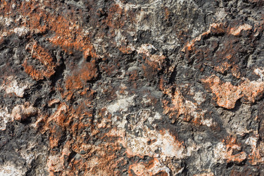 Similar image 12219904