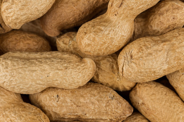 Similar image 12219931