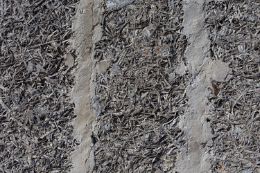 Similar image 12219978