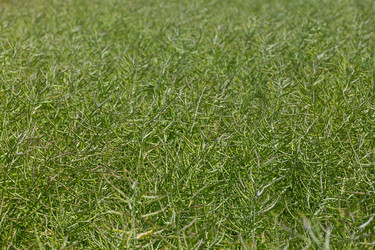 Similar image 12220136