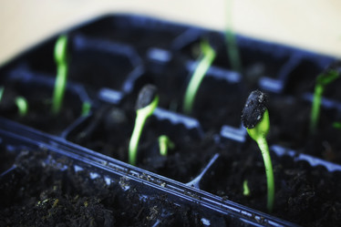 Similar image 12206148