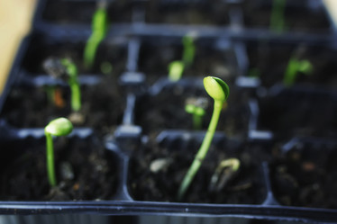 Similar image 12206388