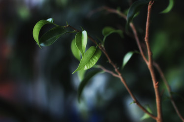 Similar image 12206426