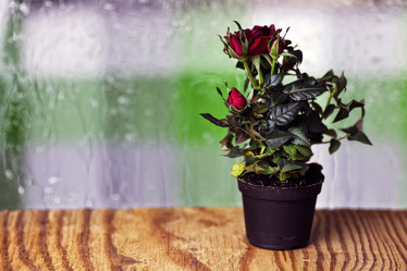 Similar image 12206208