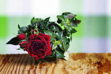 Similar image 12206879