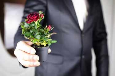 Similar image 12217915