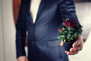 Similar image 12218031