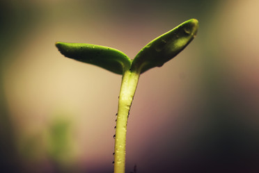 Similar image 12218073