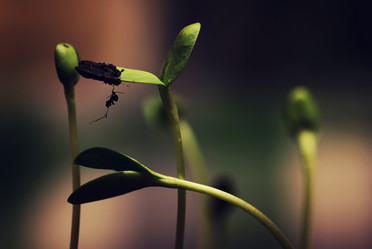 Similar image 12218145