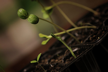 Similar image 12218146