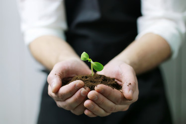 Similar image 12205973