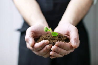 Similar image 12206052