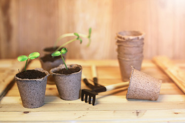 Similar image 12206149