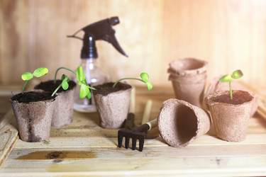 Similar image 12206249