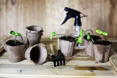 Similar image 12206170