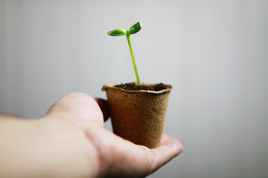 Similar image 12206288