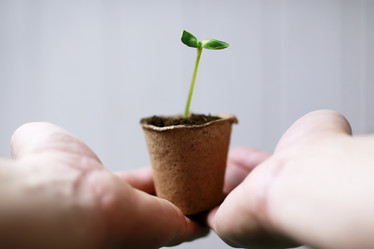 Similar image 12206328