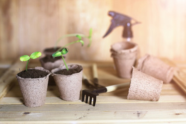 Similar image 12206347