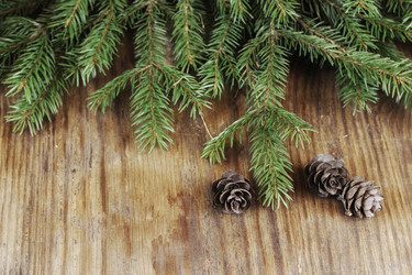 Similar image 12206369