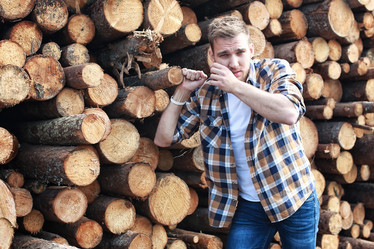 Similar image 12219095