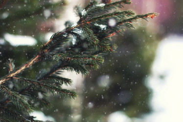 Similar image 12218155