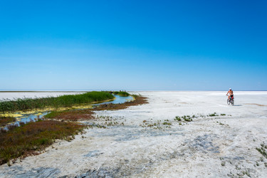 Similar image 12198716