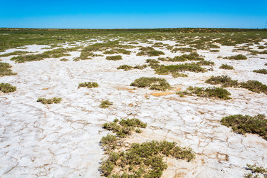 Similar image 12198721